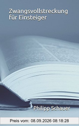 Zwangsvollstreckung für Einsteiger