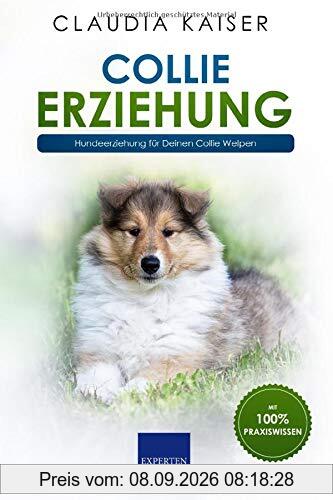 Collie Erziehung: Hundeerziehung für Deinen Collie Welpen