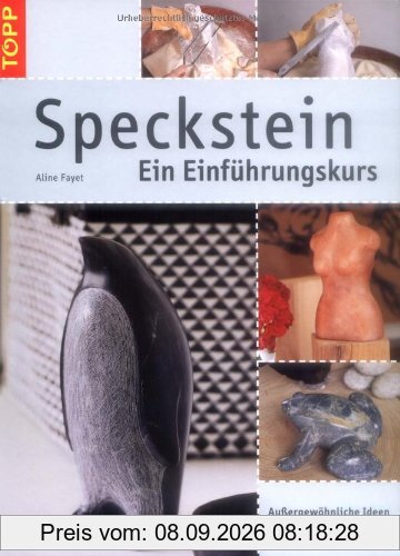 Speckstein - Ein Einführungskurs: Außergewöhnliche Ideen Schrit für Schritt erklärt