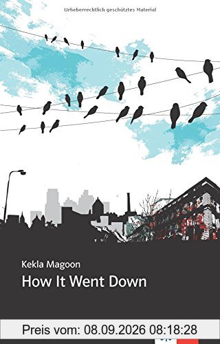 Young Adult Literature: Klett English Editions: How It Went Down