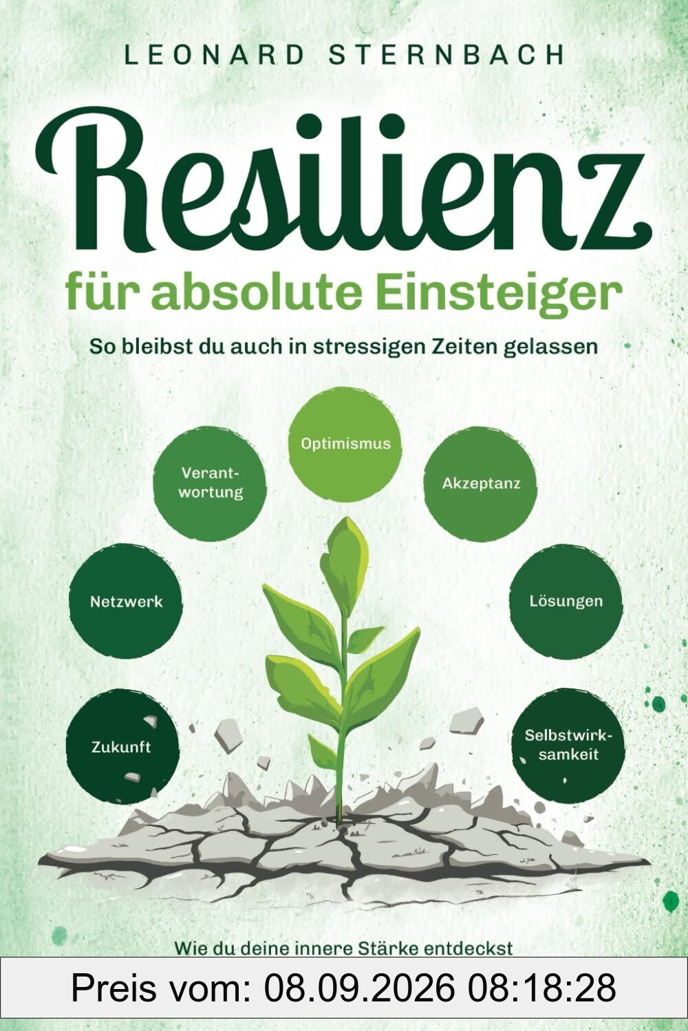 Resilienz für absolute Einsteiger: Wie du deine innere Stärke entdeckst und Herausforderungen meisterst. So bleibst du auch in stressigen Zeiten gelassen