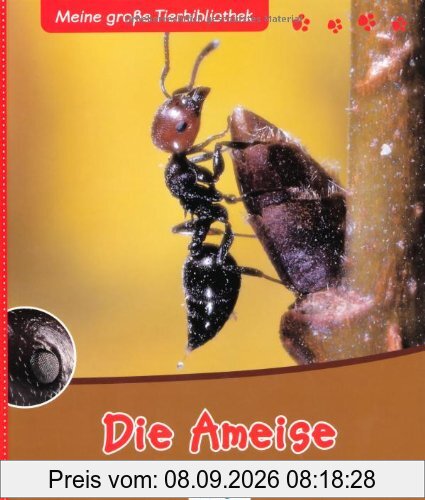 Die Ameise
