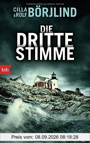 Die dritte Stimme: Kriminalroman (Die Rönning/Stilton-Serie, Band 2)