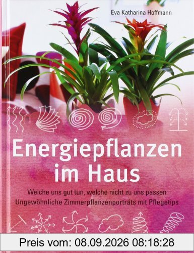 Energiepflanzen im Haus: Welche uns gut tun, welche nicht zu uns passen - Ungewöhnliche Zimmerpflanzenporträts mit Pflegetips