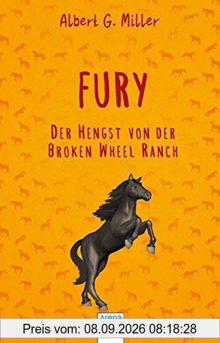 Fury. Der Hengst von der Broken Wheel Ranch: Arena Kinderbuch-Klassiker. Mit einem Vorwort von Friedrich Stephan: