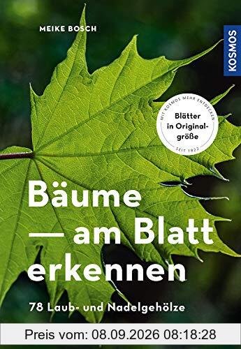 Bäume am Blatt erkennen