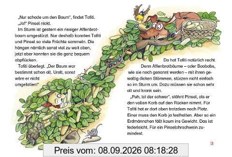 Tafiti und das schlecht gelaunte Nashorn (Band 11)