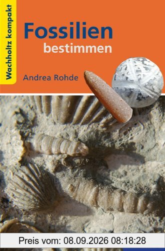 Fossilien bestimmen KOMPAKT
