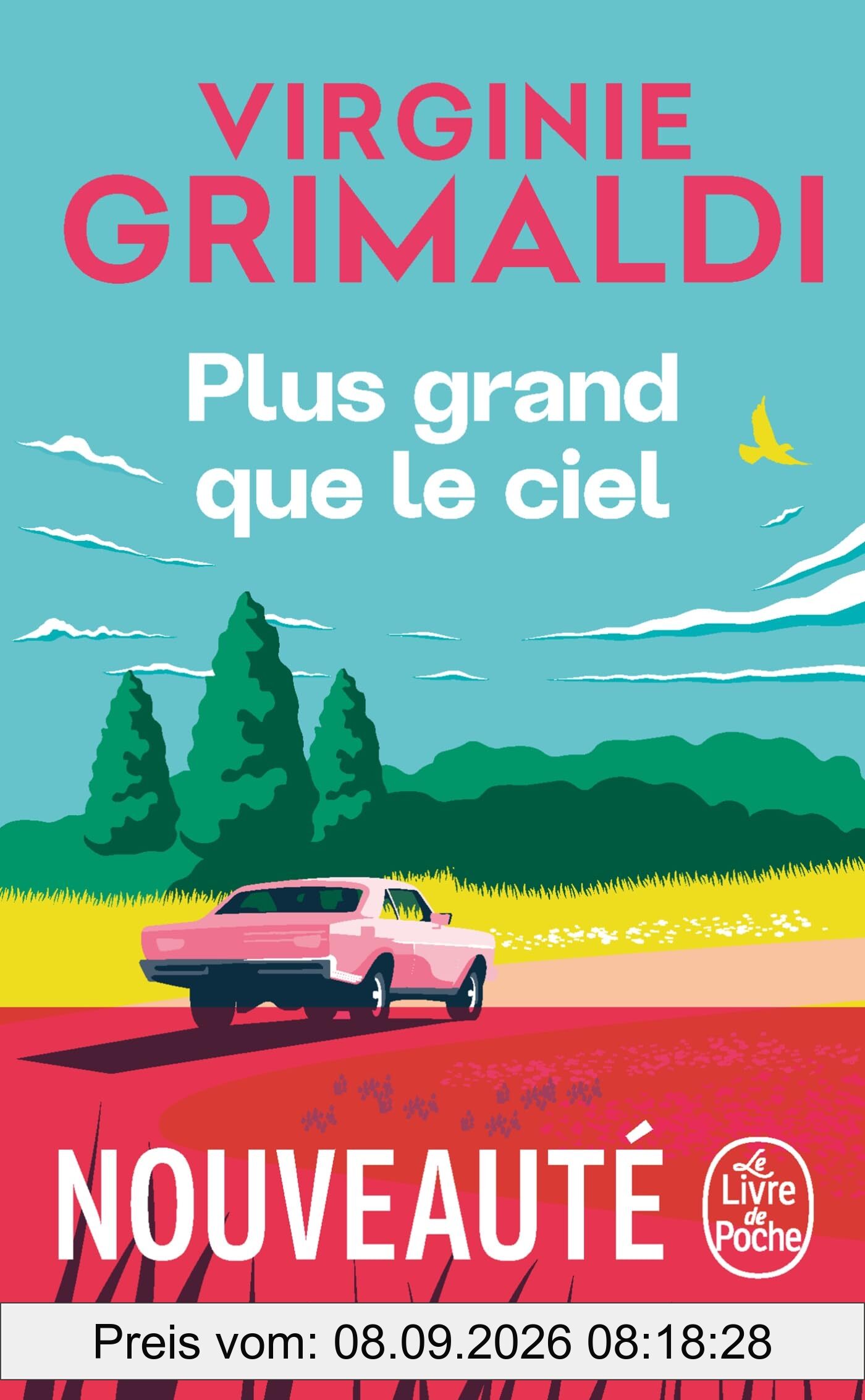 Plus grand que le ciel
