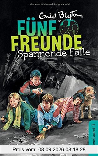 Fünf Freunde - Spannende Fälle - DB 03: Sammelband 03: Fünf Freunde beim Wanderzirkus/Fünf Freunde auf der Felseninsel