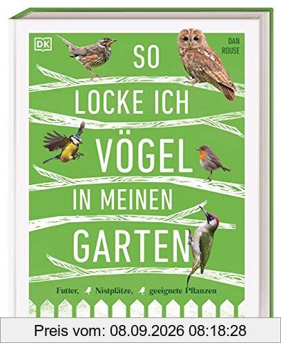 So locke ich Vögel in meinen Garten: Futter, Nistplätze, geeignete Pflanzen