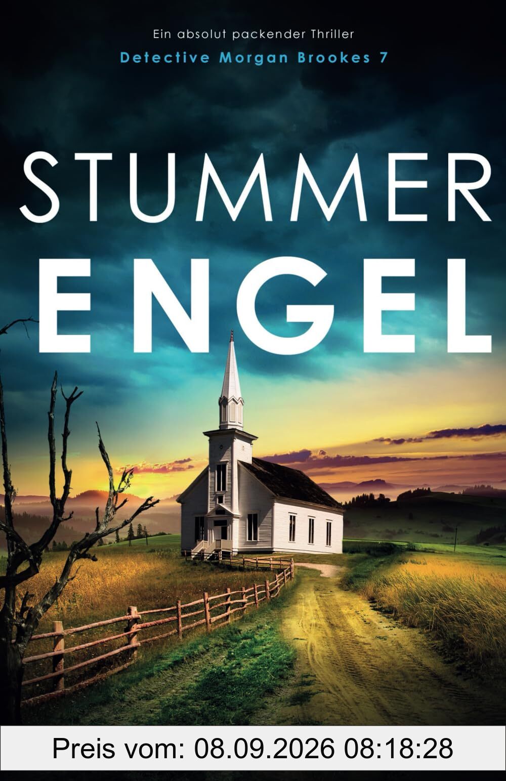 Stummer Engel: Ein absolut packender Thriller (Detective Morgan Brookes, Band 7)