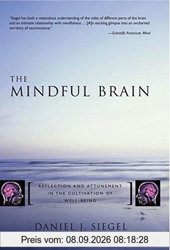 The Mindful Brain: Reflection and Attunement in the Cultivation of Well-Being (Norton Series on Interpersonal Neurobiology)