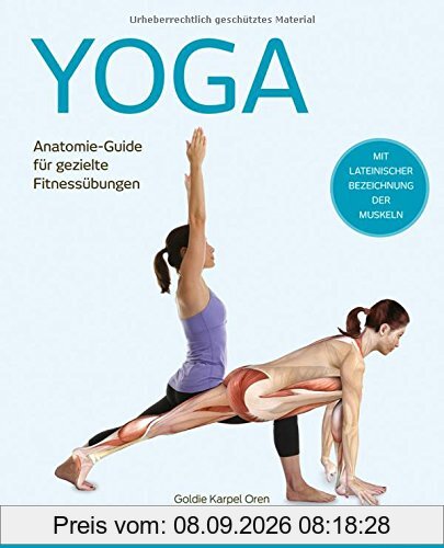 Yoga: Anatomie-Guide für gezielte Fitnessübungen