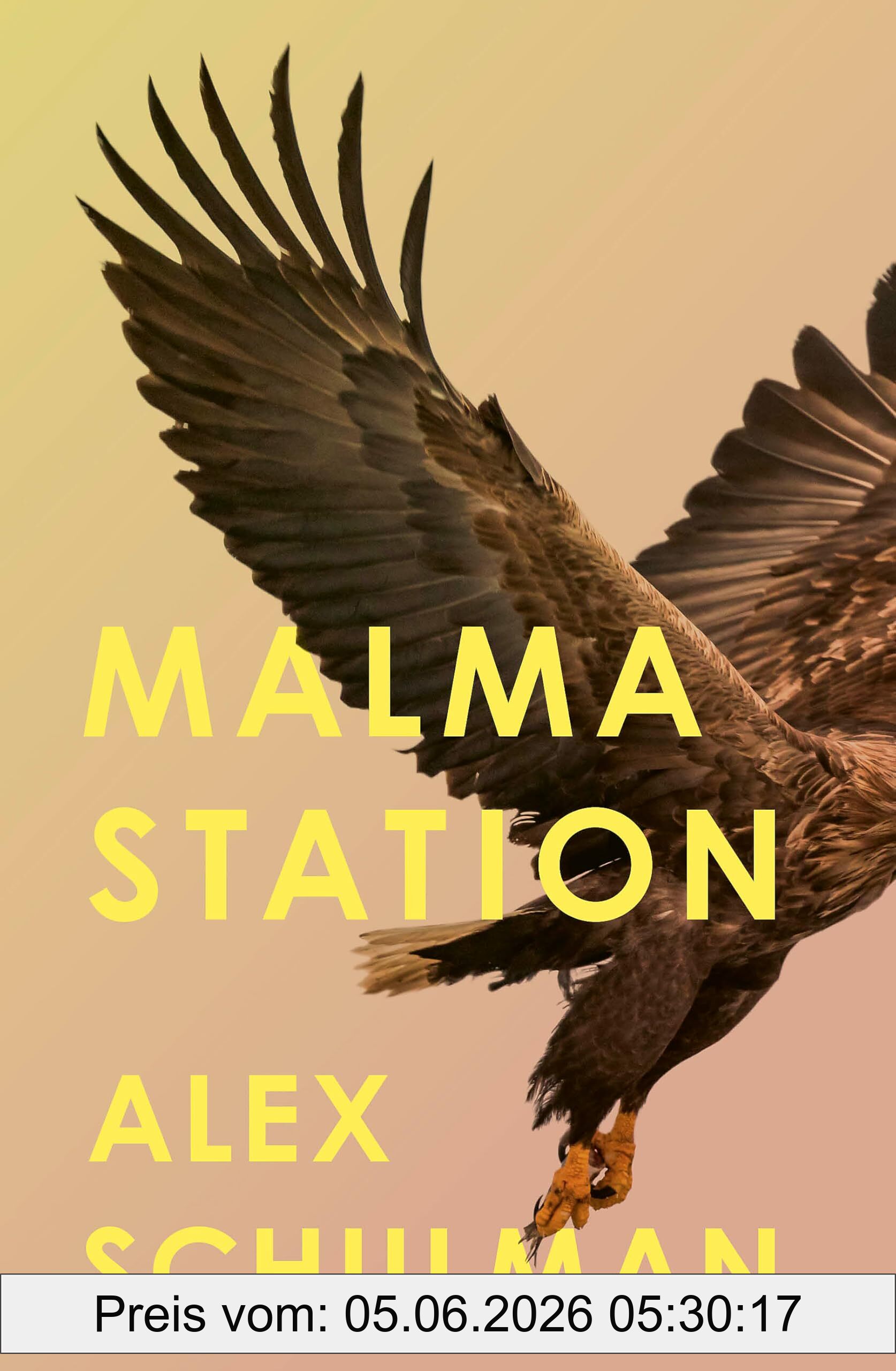 Alex Schulman Malma Station