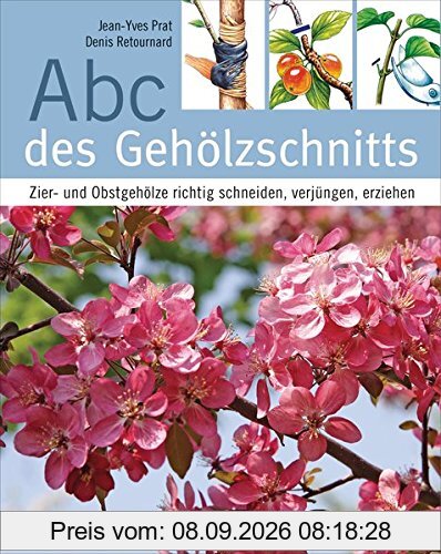 Abc des Gehölzschnitts: Zier- und Obstgehölze richtig schneiden, verjüngen, erziehen