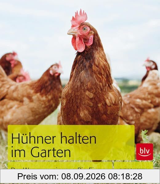 Hühner halten im Garten: Der Weg zum eigenen Bio-Ei