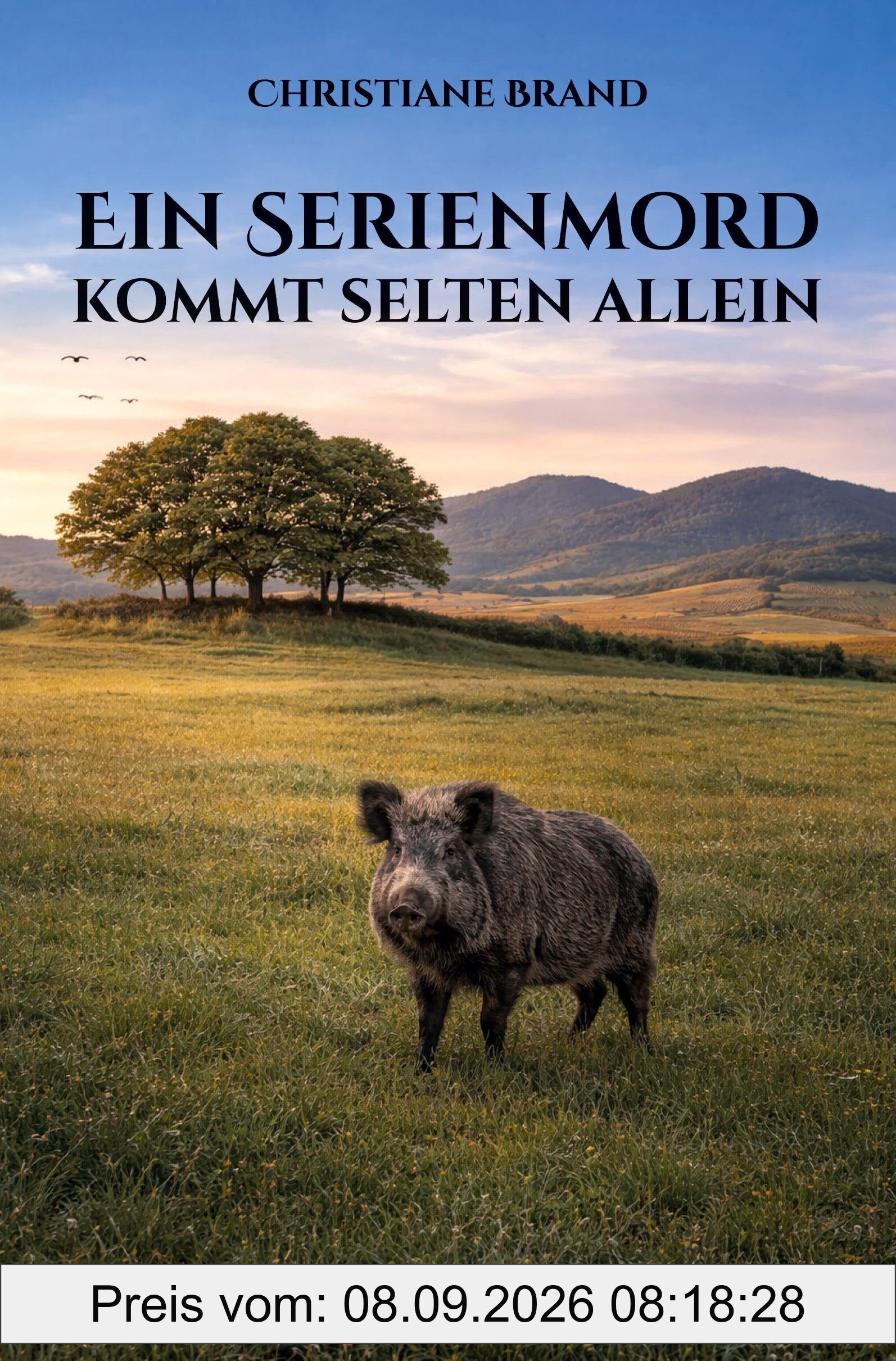 Ein Serienmord kommt selten allein