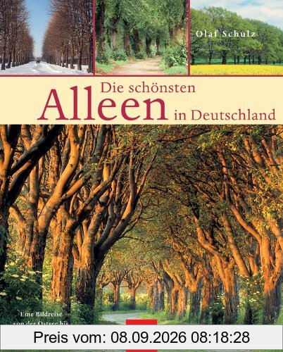 Die schönsten Alleen in Deutschland: Eine Bildreise von der Ostsee bis zum Alpenvorland