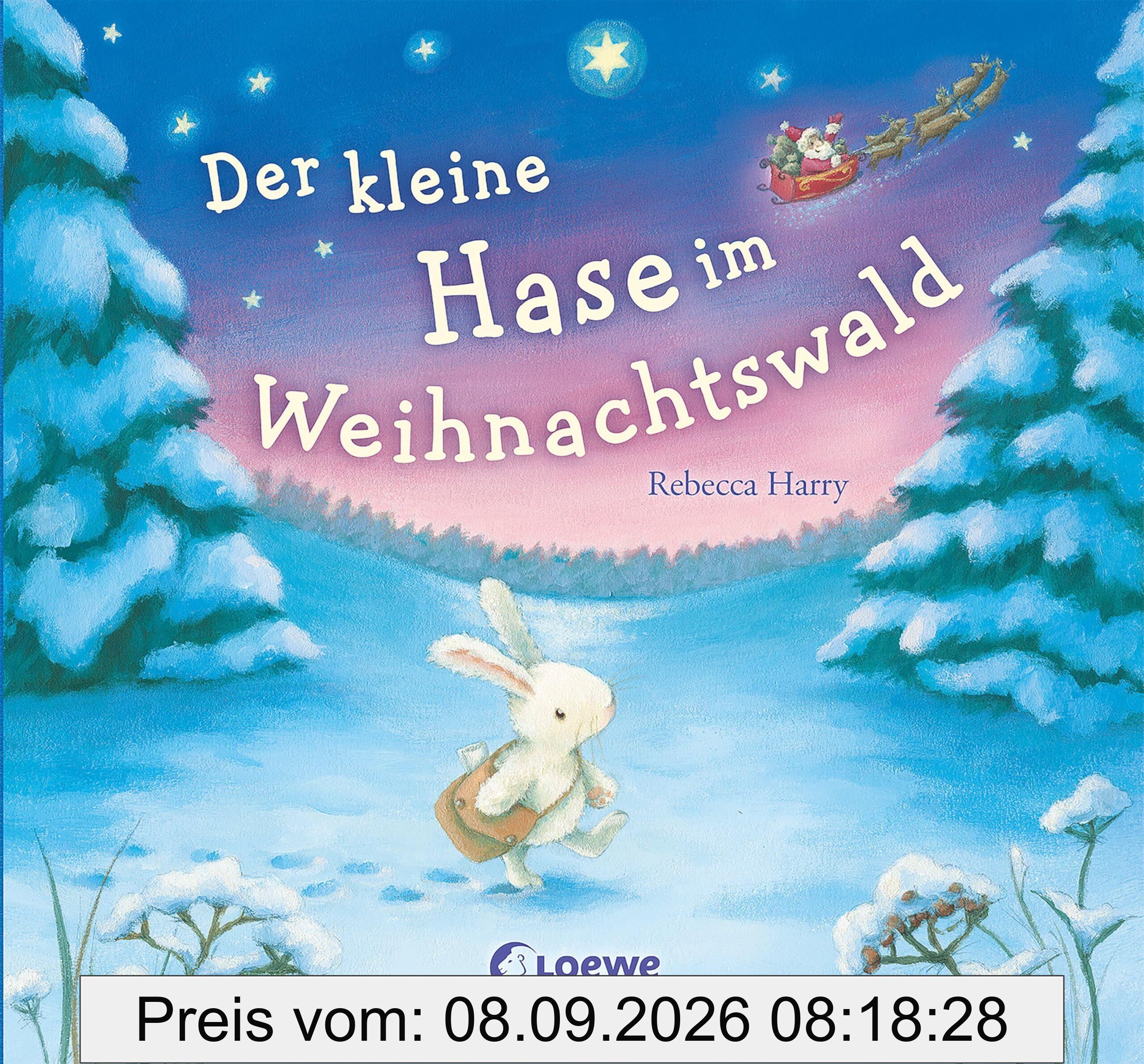 Der kleine Hase im Weihnachtswald