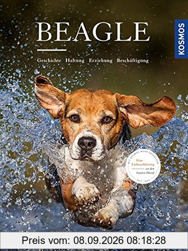 Beagle: Geschichte, Haltung, Erziehung, Beschäftigung