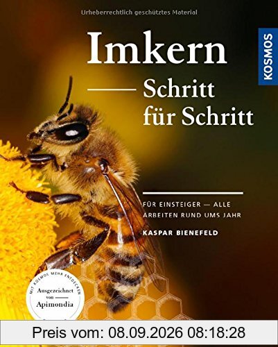 Imkern Schritt für Schritt: Für Einsteiger - alle Arbeiten rund ums Jahr