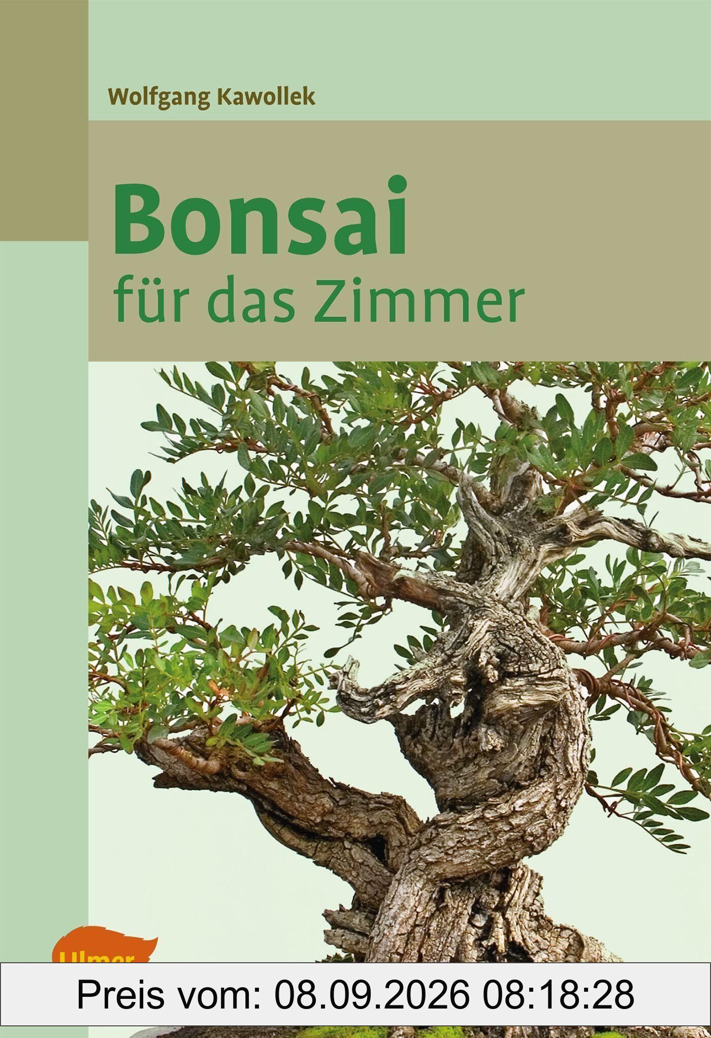 Bonsai für das Zimmer