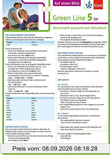 Klett Green Line 5 G9 Klasse 9 Auf einen Blick: Grammatik passend zum Schulbuch