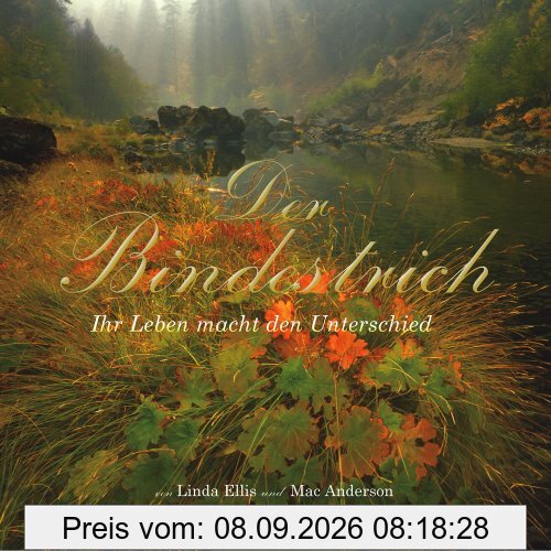 Der Bindestrich