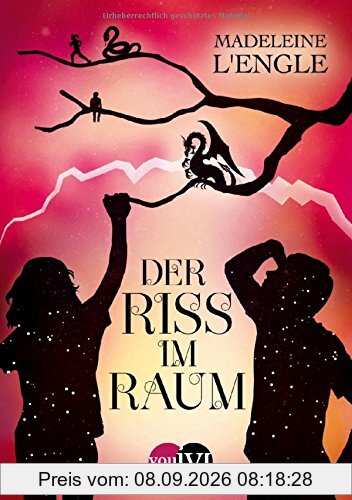 Der Riss im Raum (Reise durch die Zeit, Band 2)