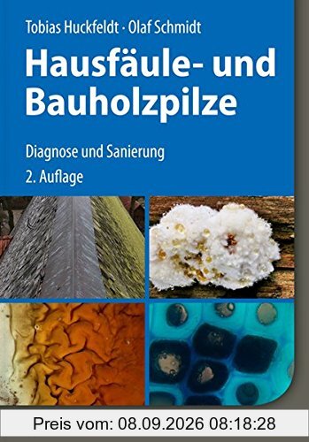 Hausfäule- und Bauholzpilze: Diagnose und Sanierung