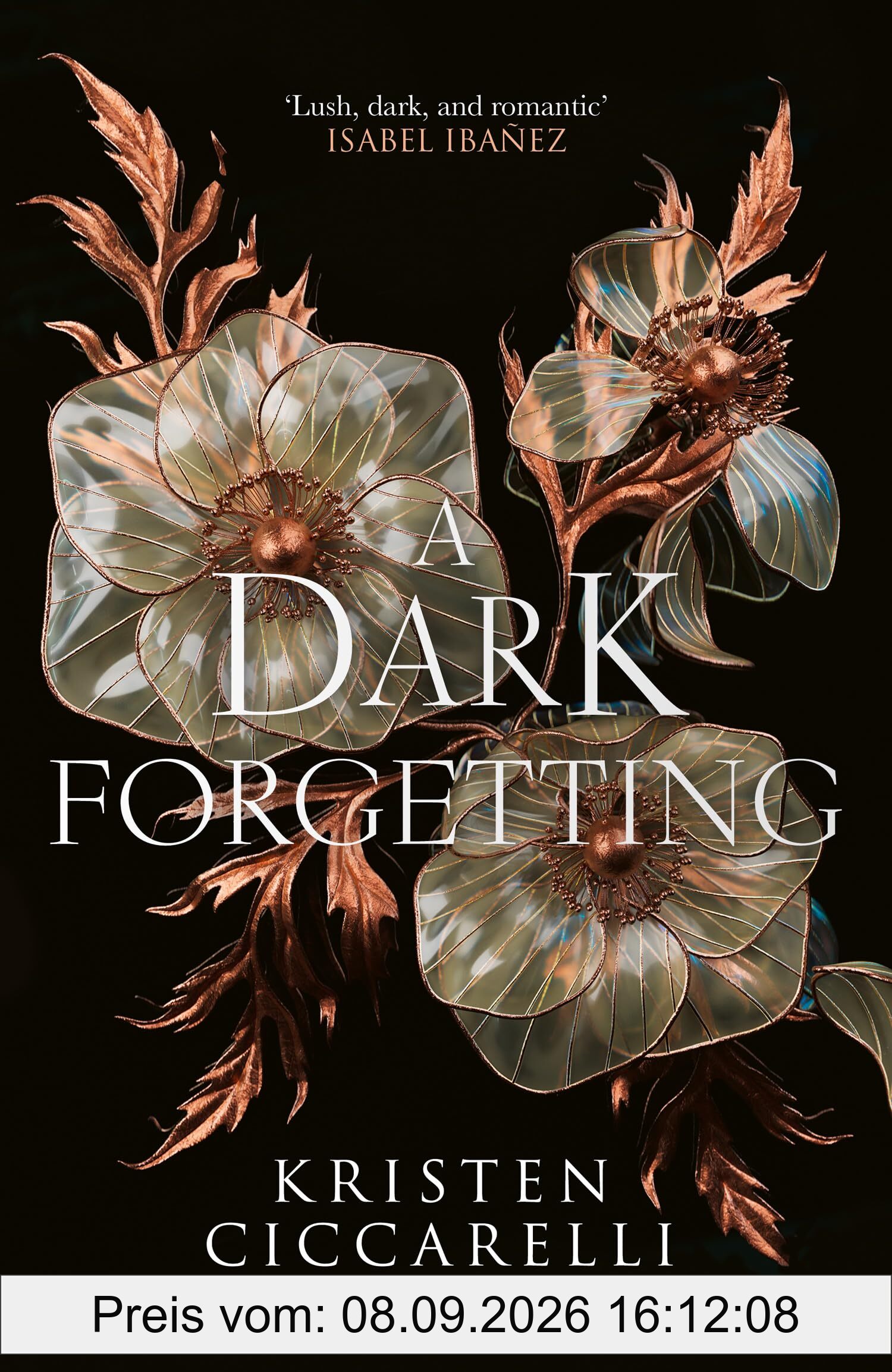 A Dark Forgetting: a sweeping romantasy from the author of global bestseller THE CRIMSON MOTH