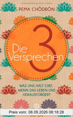 Die 3 Versprechen: Was uns Halt gibt, wenn das Leben uns herausfordert