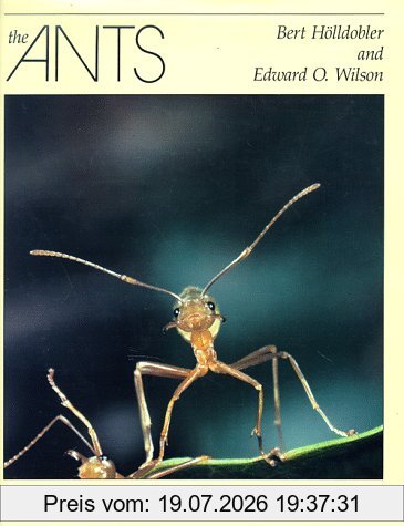 Bert Hölldobler The Ants