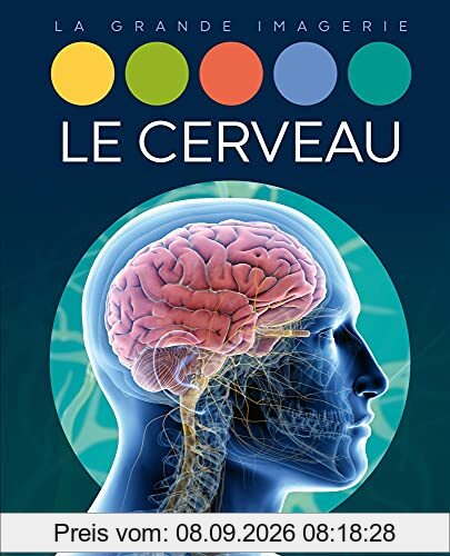 Le cerveau