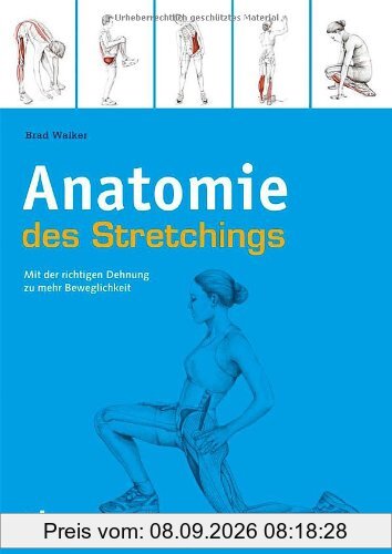 Anatomie des Stretchings: Mit der richtigen Dehnung zu mehr Beweglichkeit
