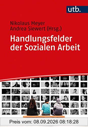 Handlungsfelder der Sozialen Arbeit: Der berufliche Alltag in Beschreibungen aus der Praxis