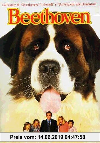 Gebr. - Beethoven 1 - Ein Hund namens Beethoven - 2. Auflage (DVD)