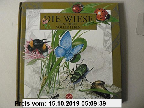 Gebr. - Die WIESE - Eine Welt voller Leben (lies + spiel Wissen)
