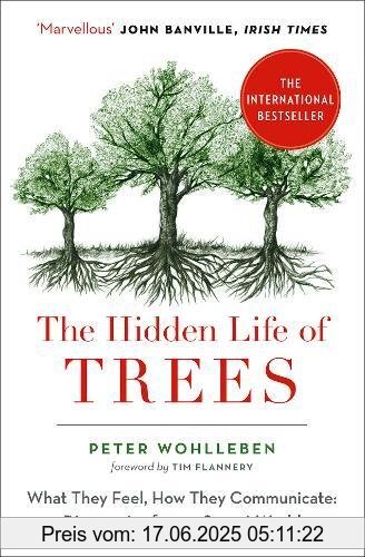 Binding : Taschenbuch, Label : William Collins, Publisher : William Collins, medium : Taschenbuch, numberOfPages : 288, publicationDate : 2017-08-24, authors : Peter Wohlleben, languages : english, ISBN : 0008218439