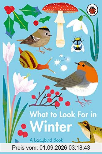 What to Look For in Winter (A Ladybird Book)