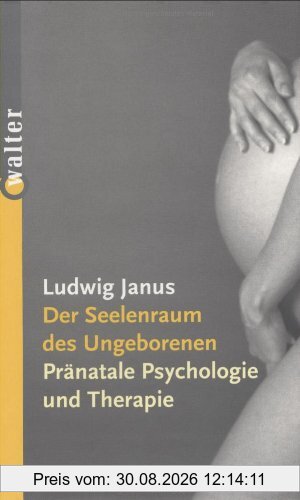 Der Seelenraum des Ungeborenen. Pränatale Psychologie und Therapie