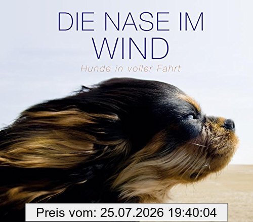 unbekannt Die Nase Im Wind, Hunde In Voller Fahrt
