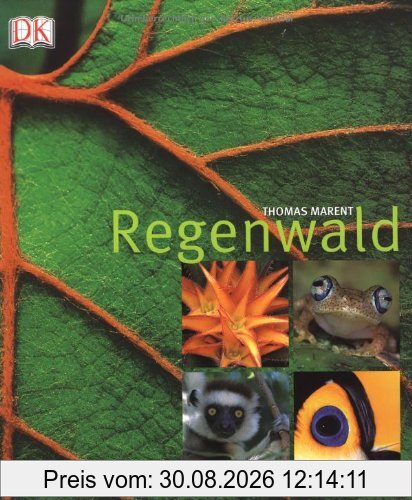Regenwald