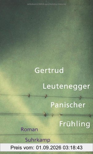 Panischer Frühling: Roman