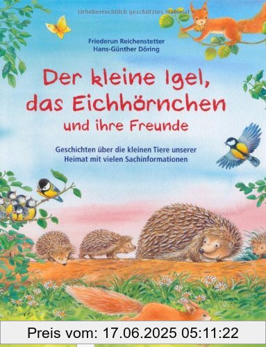 Brand : Arena Verlag, Binding : Gebundene Ausgabe, Label : Arena, Publisher : Arena, medium : Gebundene Ausgabe, numberOfPages : 96, publicationDate : 2013-06-01, authors : Friederun Reichenstetter, languages : german, ISBN : 3401703374