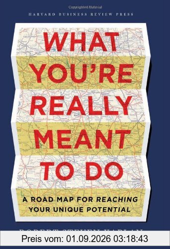 What you`re really meant to do: A Roadmap for Reaching Your Unique Potential