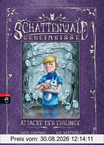 Schattenwald-Geheimnisse - Attacke der Eislinge: Band 5