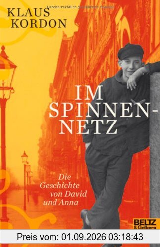 Im Spinnennetz: Die Geschichte von David und Anna. Roman