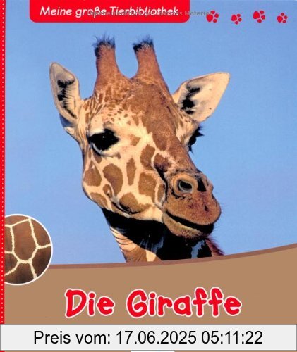 Binding : Gebundene Ausgabe, Edition : 1., Auflage, Label : Esslinger Verlag Schreiber, Publisher : Esslinger Verlag Schreiber, medium : Gebundene Ausgabe, numberOfPages : 29, publicationDate : 2010-07-05, authors : Christine Denis-Huot, translators : Anne Brauner, languages : german, ISBN : 3480227120